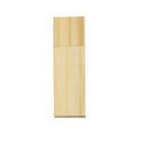 Pen Drive PD00011