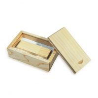 Pen Drive PD069