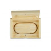 Pen Drive PD066