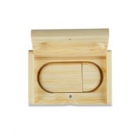 Pen Drive PD066